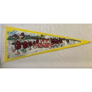 Vintage 1988 The California Raisins Ice Capades Pennant Full Size